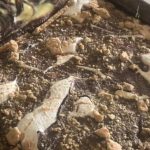 Recipe: Tasty One pan S’mores and caramel cheesecake swirl brownies