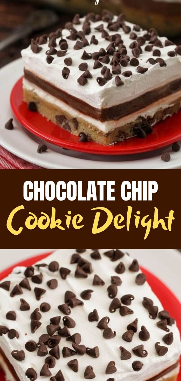 Chocolate Chip Cookie Delight