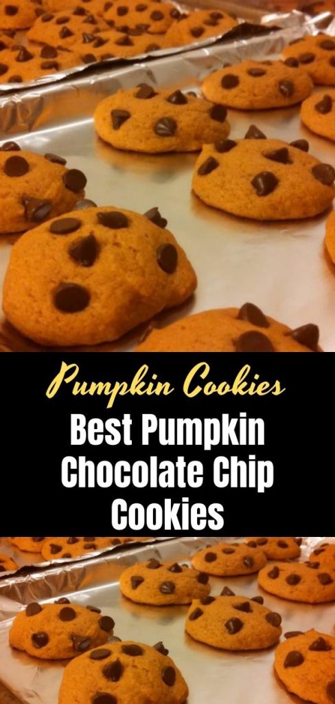 Best Pumpkin Chocolate Chip Cookies.