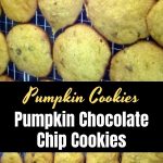 Recipe: Tasty Pumpkin Chocolate Chip Cookies