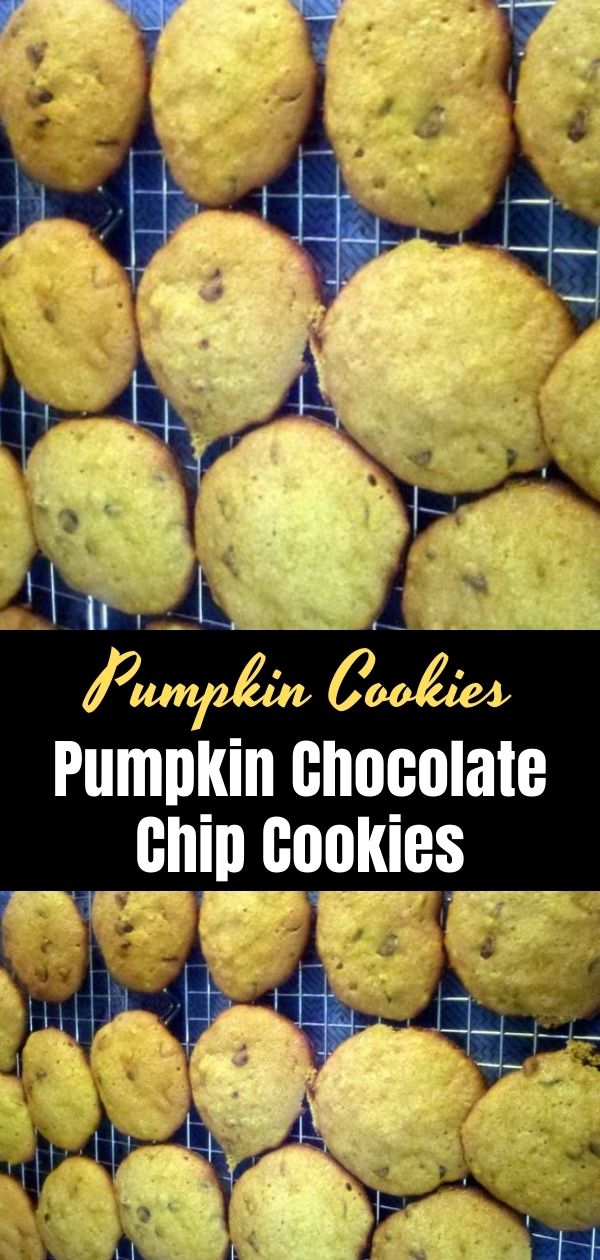 Pumpkin Chocolate Chip Cookies (1)