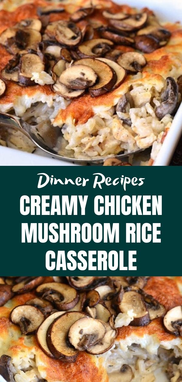 Creamy Chicken Mushroom Rice Casserole (1)