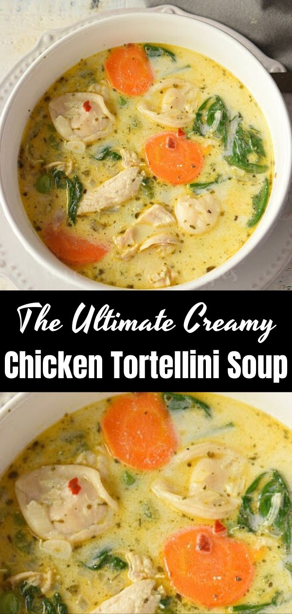 The Ultimate Creamy Chicken Tortellini Soup 1