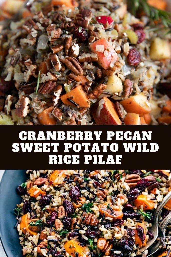 Cranberry Pecan Sweet Potato Wild Rice Pilaf (1)