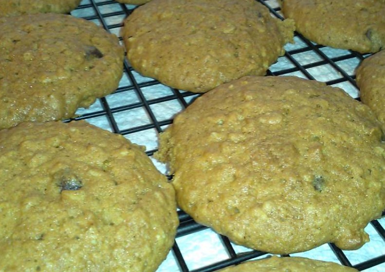 PUMPKIN-OATMEAL COOKIES with CHOCOLATE CHIPS