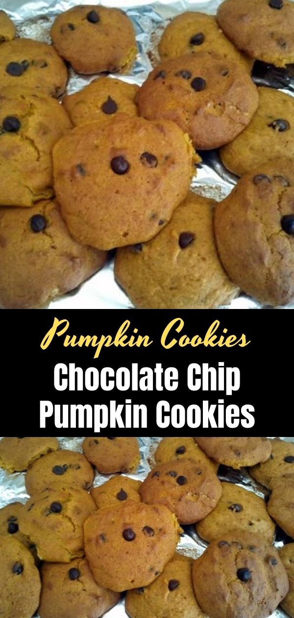 Chocolate Chip Pumpkin Cookies (1)