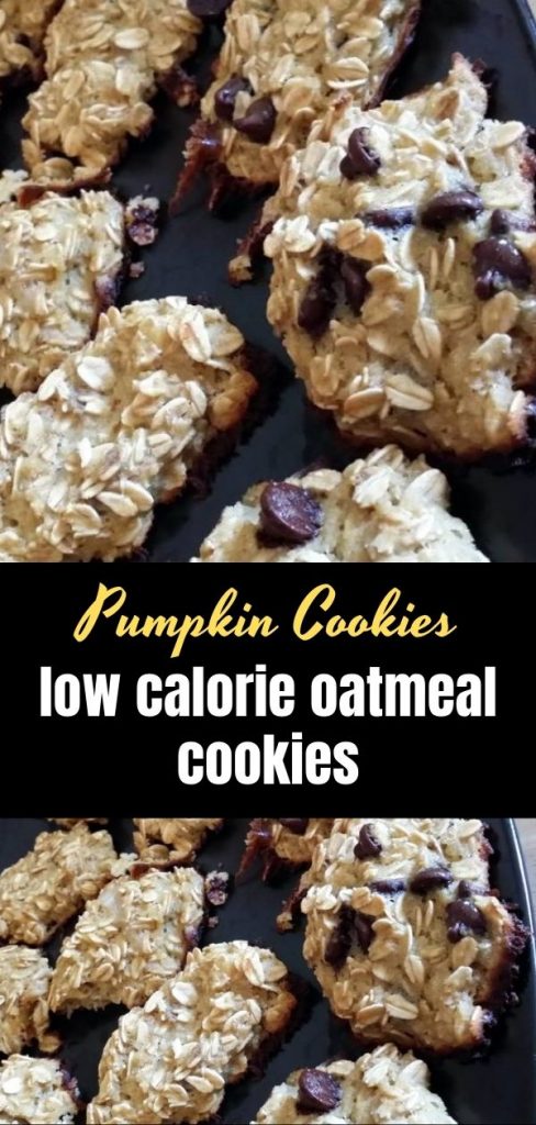 low calorie oatmeal cookies (1)