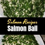 Salmon Ball 1