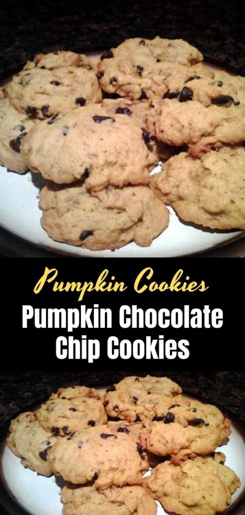 Pumpkin Chocolate Chip Cookies (1)