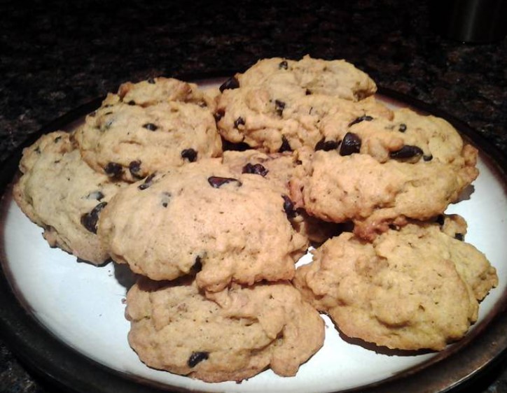 Pumpkin Chocolate Chip Cookies (1)