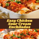 Easy Chicken Sour Cream Enchiladas (2)