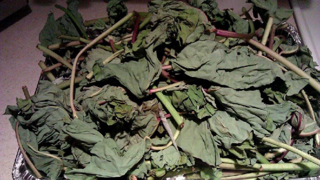 Laing: A Creamy, Spicy Filipino Delight with Taro Leaves and Coconut Milk
