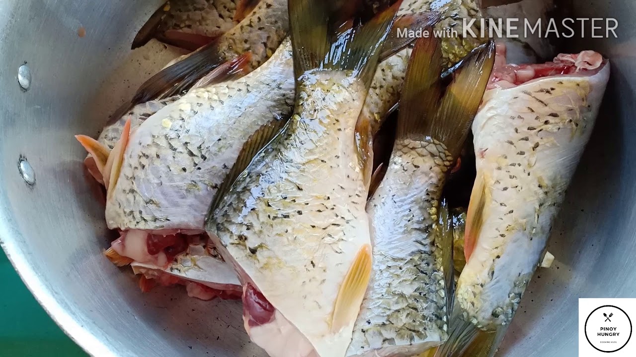 Dive into Deliciousness: The Ultimate Fish Adobo Recipe for a Flavorful Feast